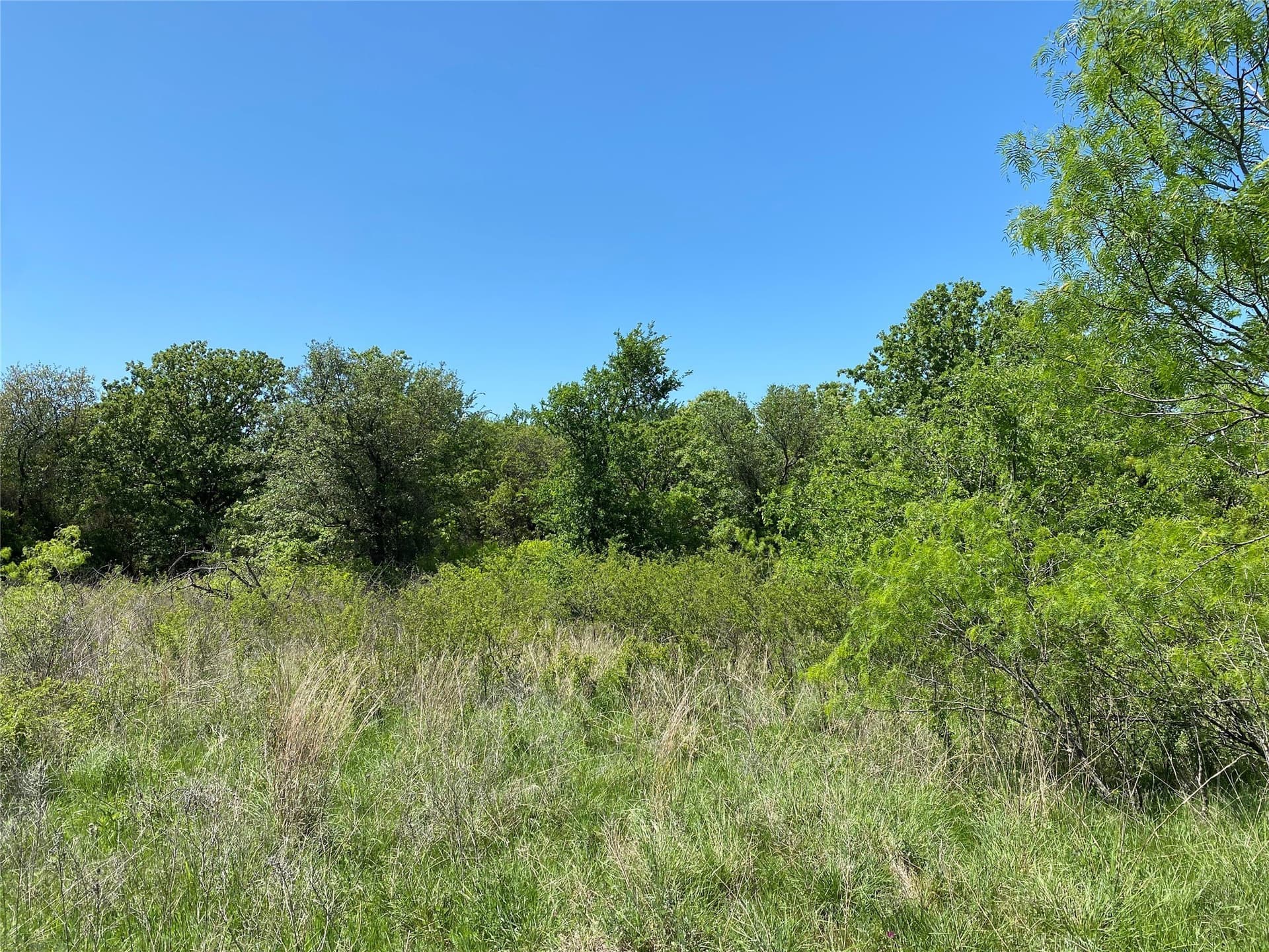 2.93 acres in Wise County - photo 12