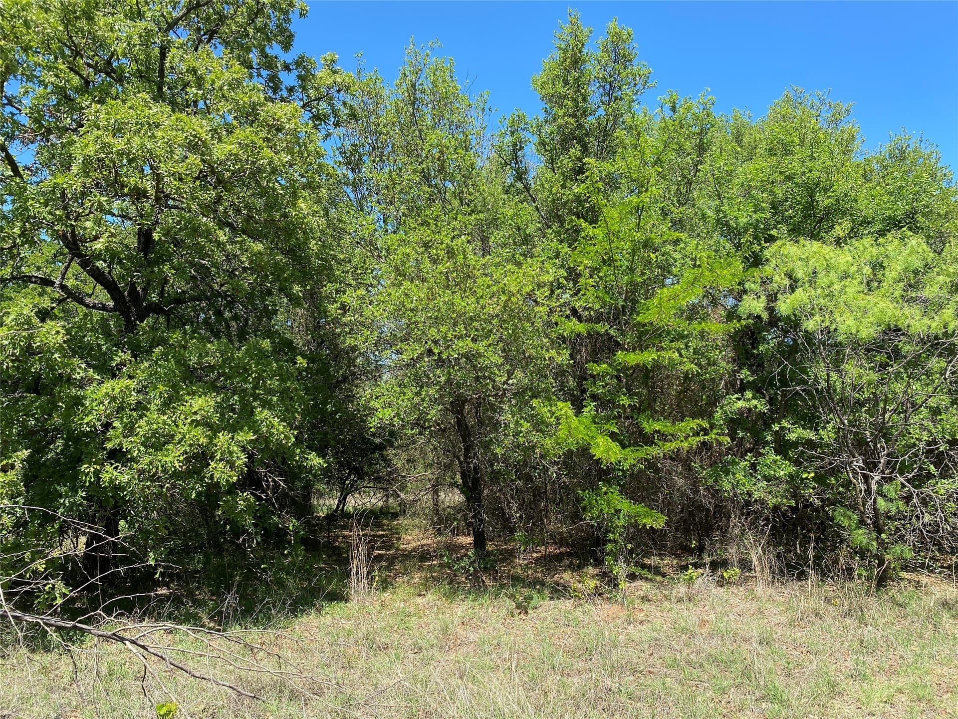 2.93 acres in Wise County - photo 13