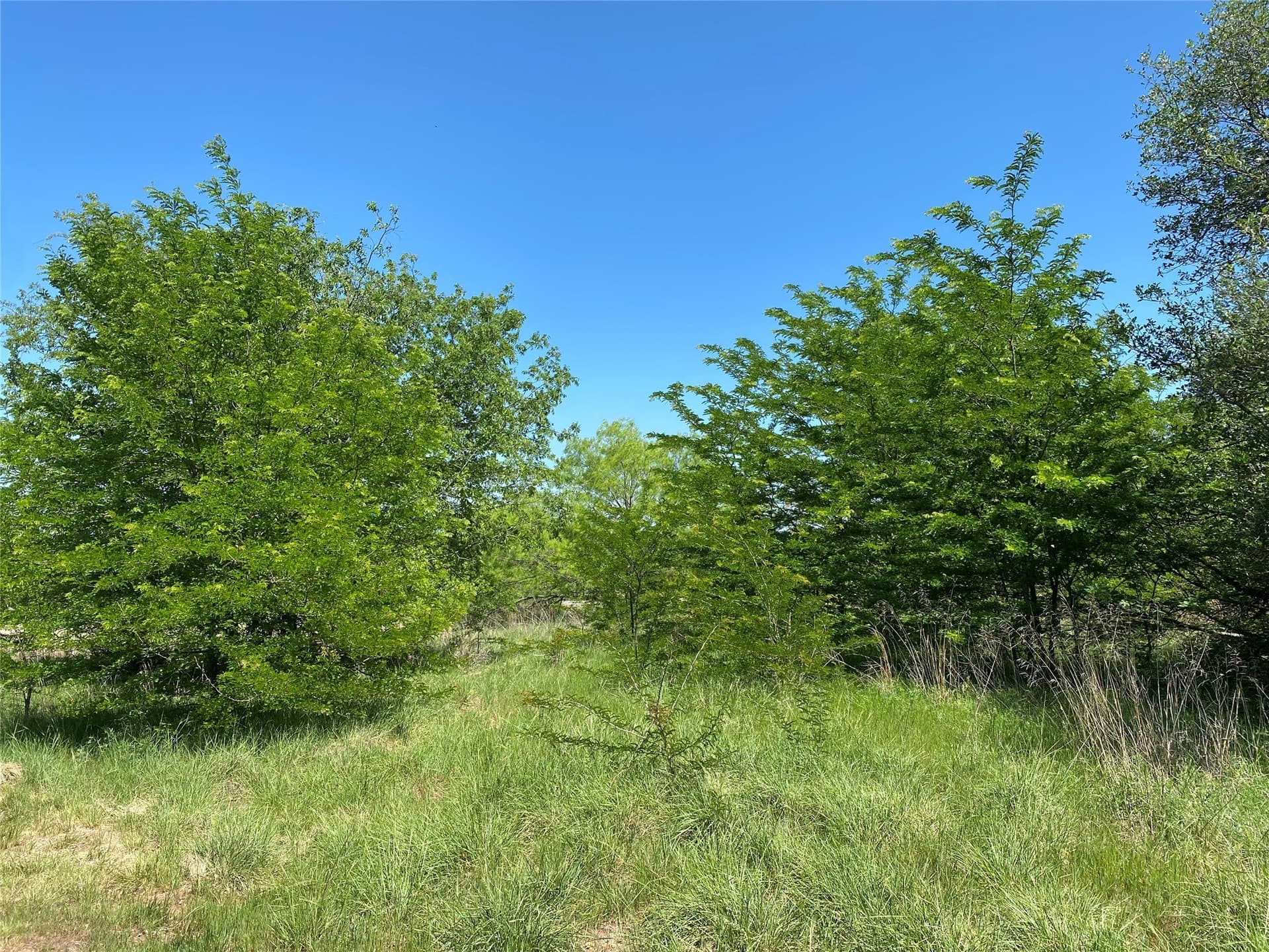 2.93 acres in Wise County - photo 10