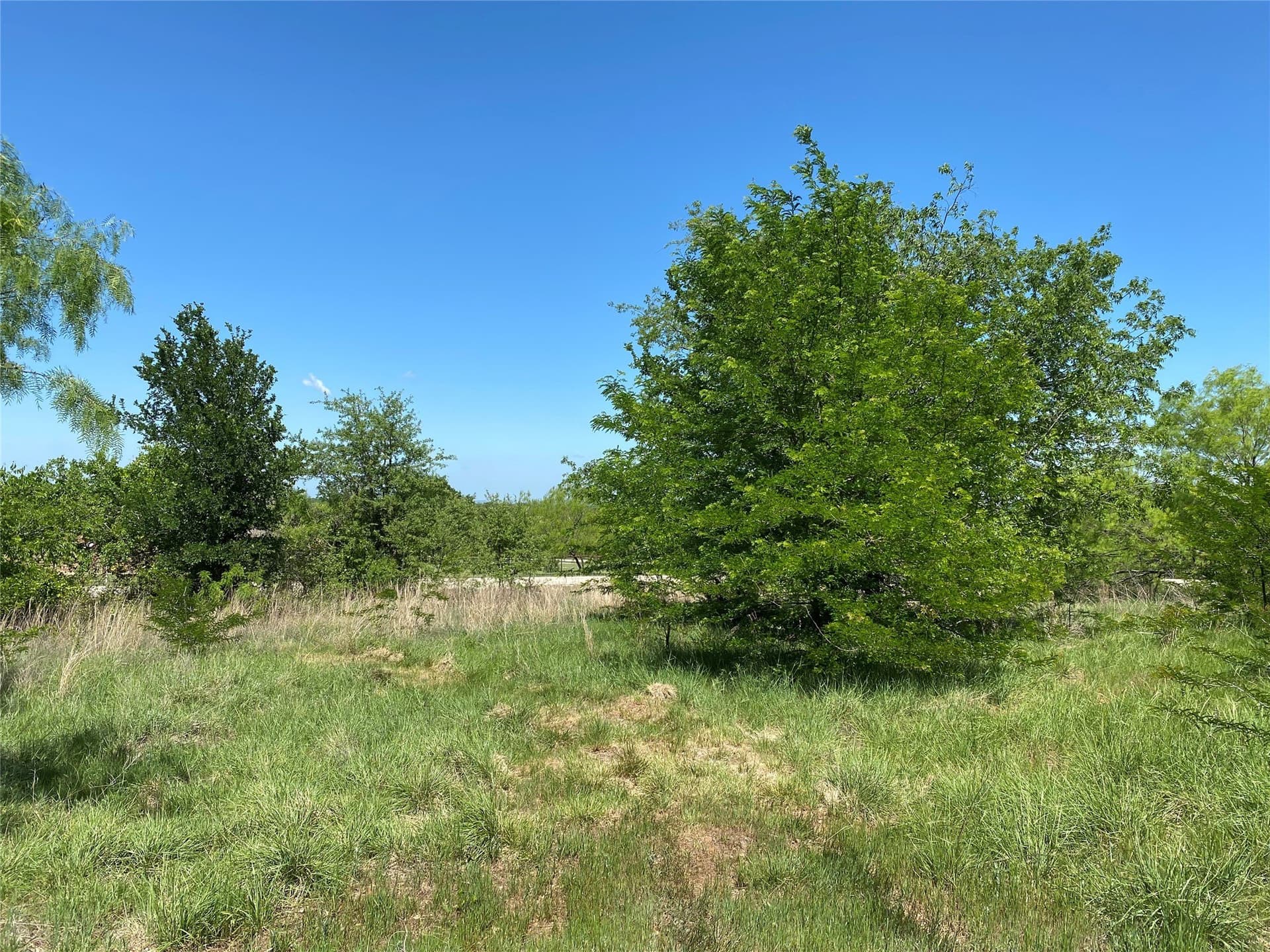 2.93 acres in Wise County - photo 15