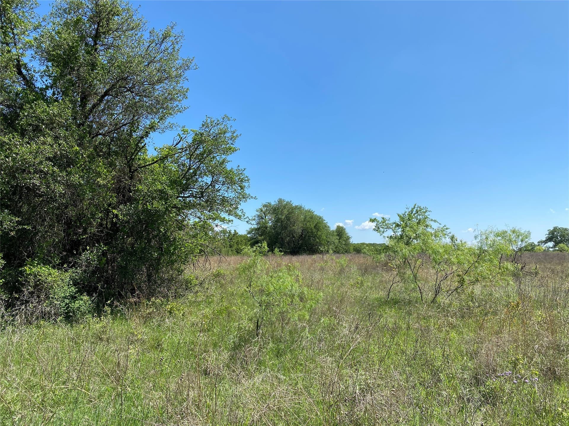 2.93 acres in Wise County - photo 11