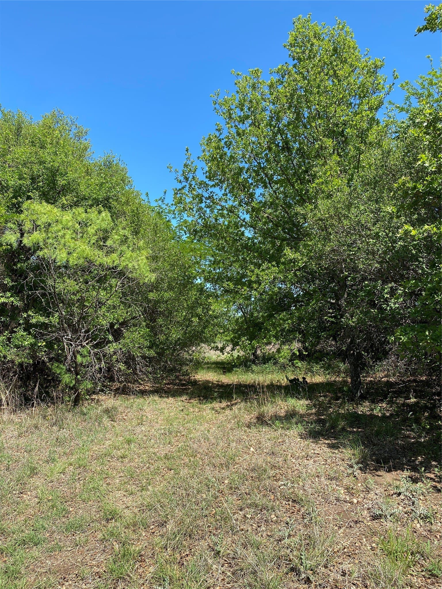2.93 acres in Wise County - photo 16