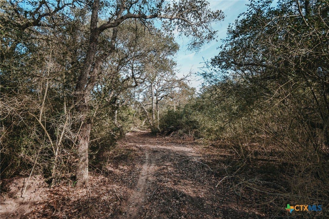 11.68 acres in Victoria County - photo 11