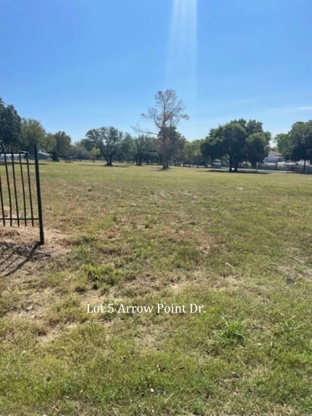 0.32 acres in Parker County - photo 11