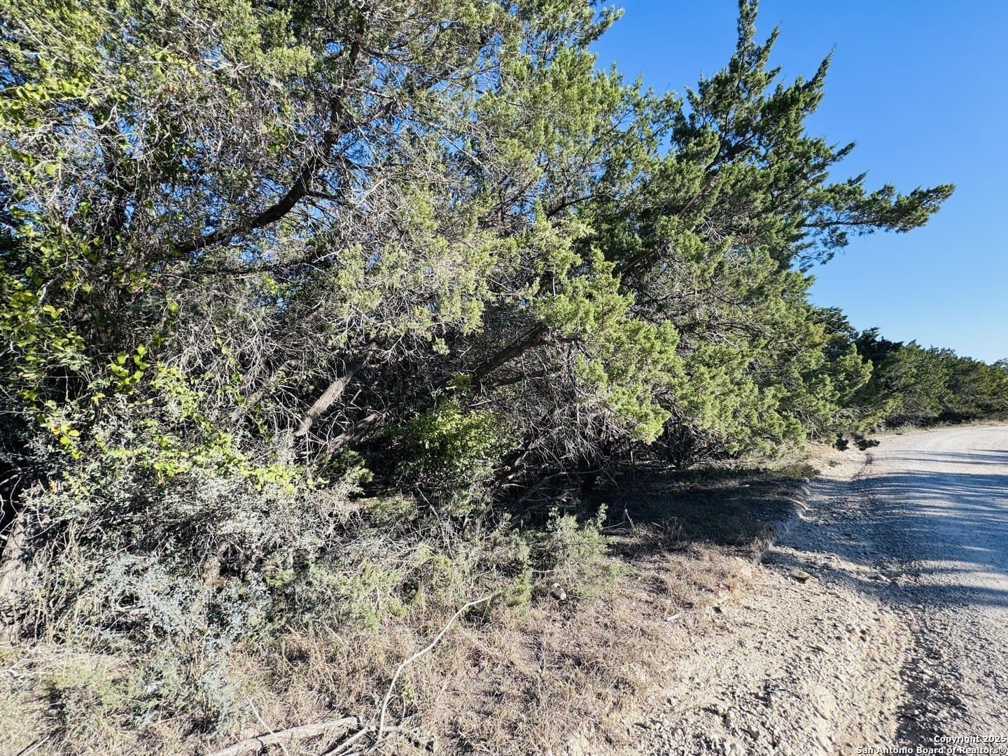 0.29 acres in Bandera County gallery image 3
