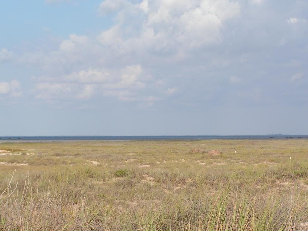 0.26 acres in Cameron County - photo 3