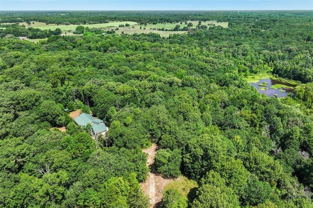 49.94 acres in Wood County gallery image 2