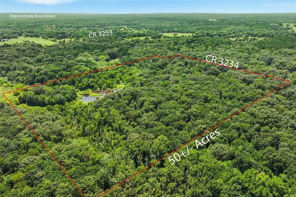 49.94 acres in Wood County gallery image 4