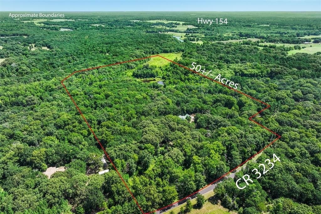 49.94 acres in Wood County gallery image 3