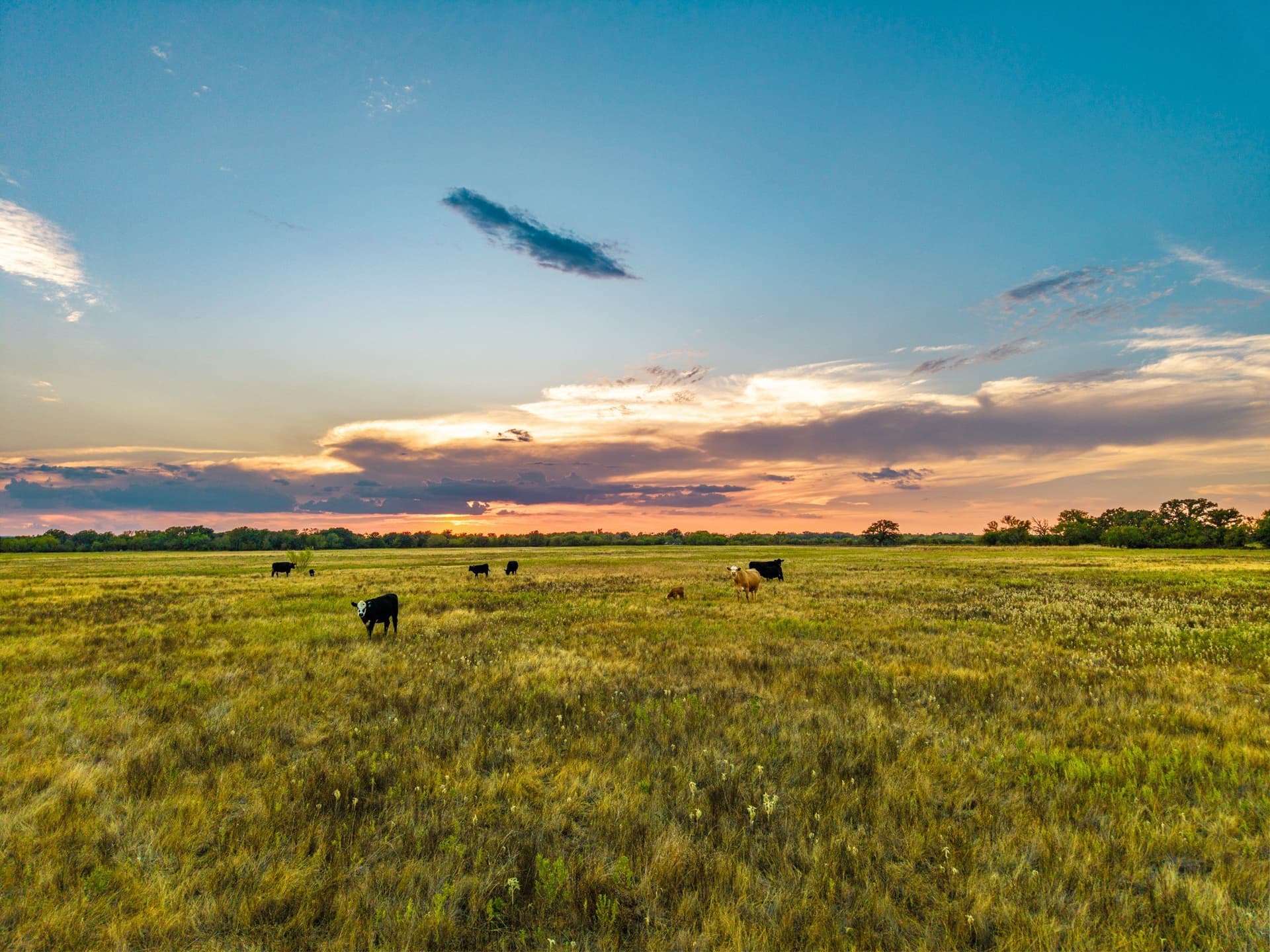80.3 acres in Comanche County - photo 5