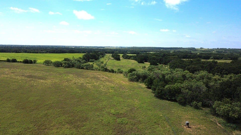 80.3 acres in Comanche County - photo 6
