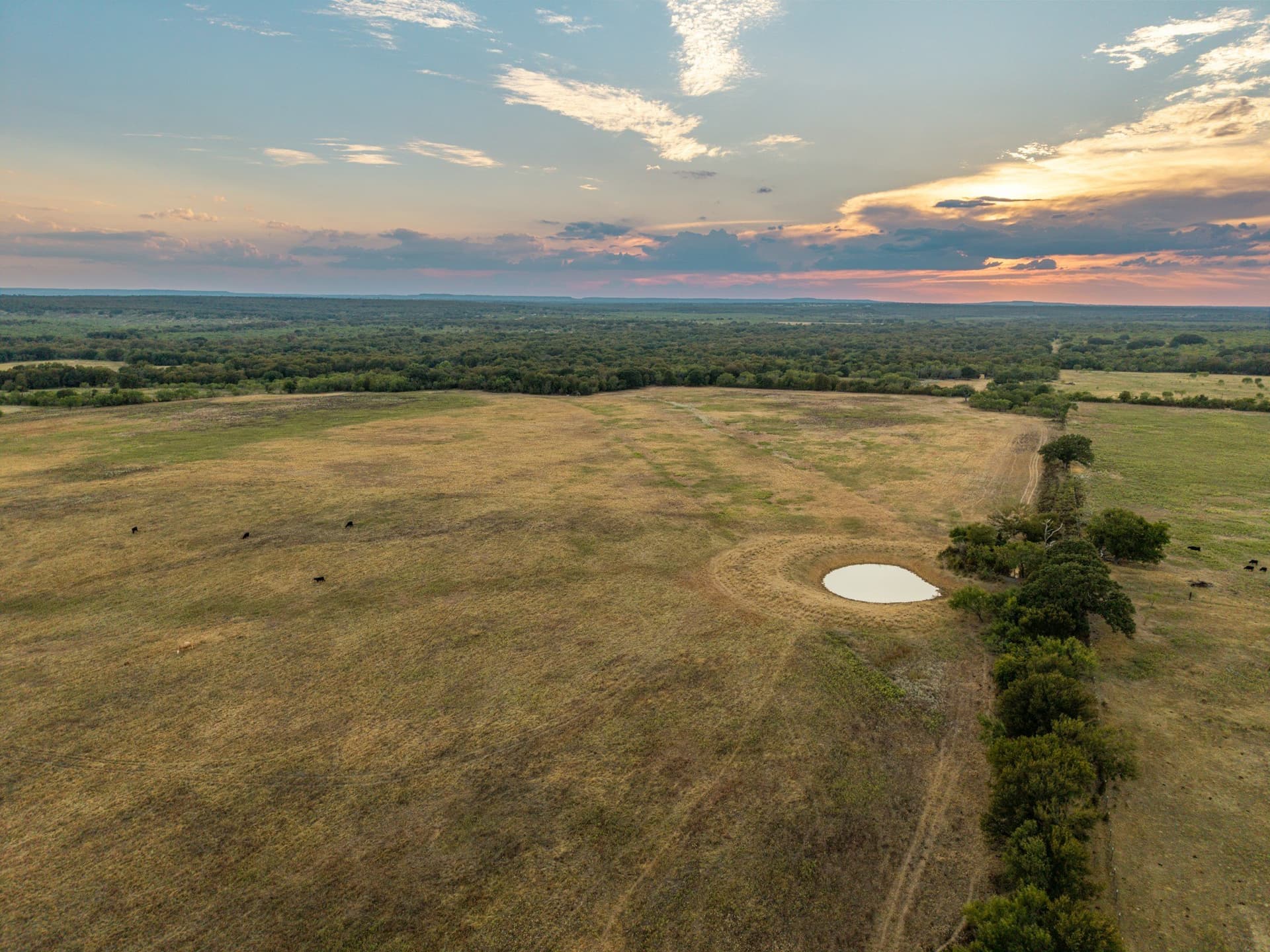 80.3 acres in Comanche County - photo 6