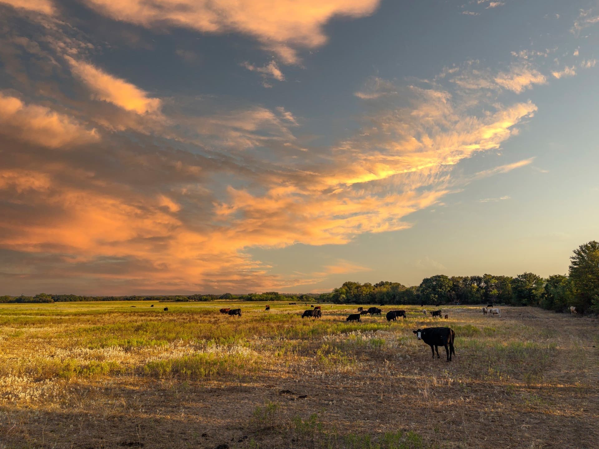 80.3 acres in Comanche County - photo 9