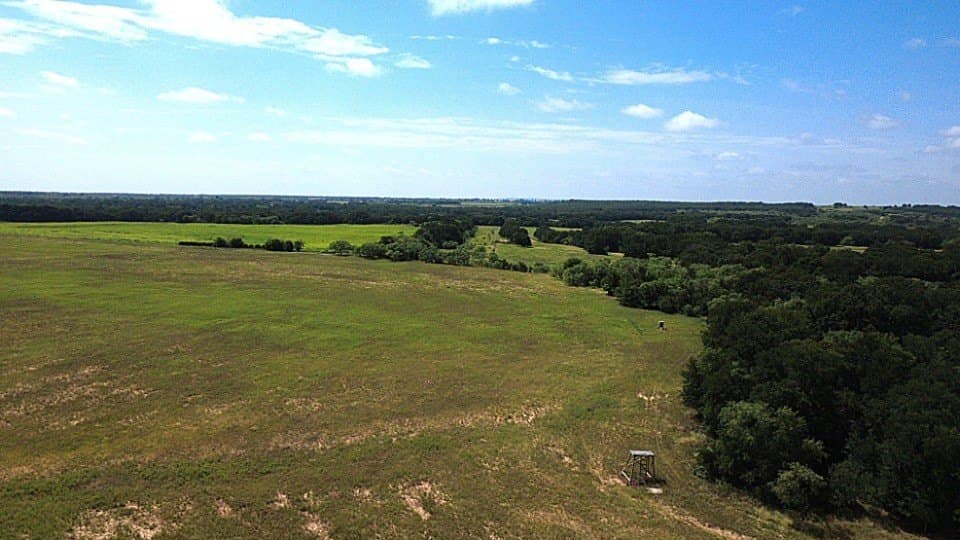 80.3 acres in Comanche County - photo 5