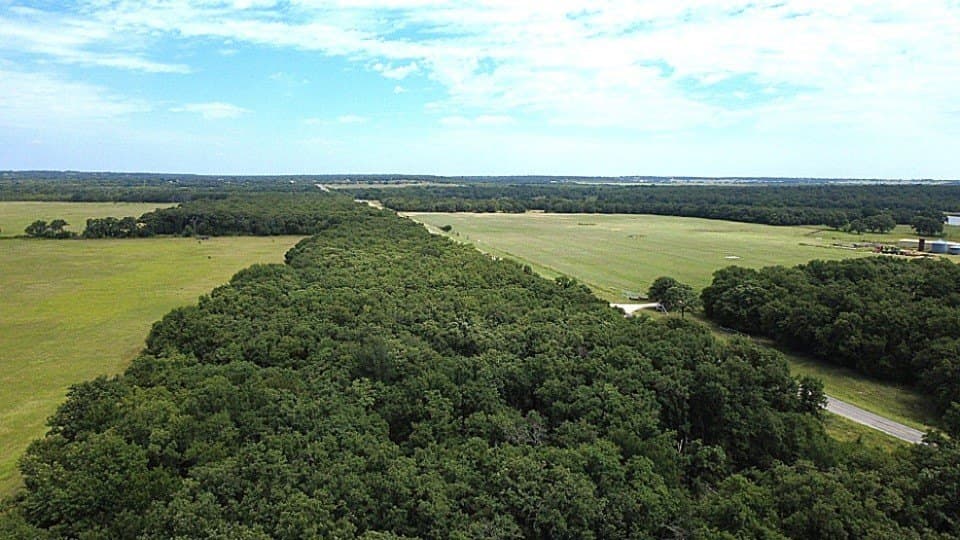 80.3 acres in Comanche County - photo 7