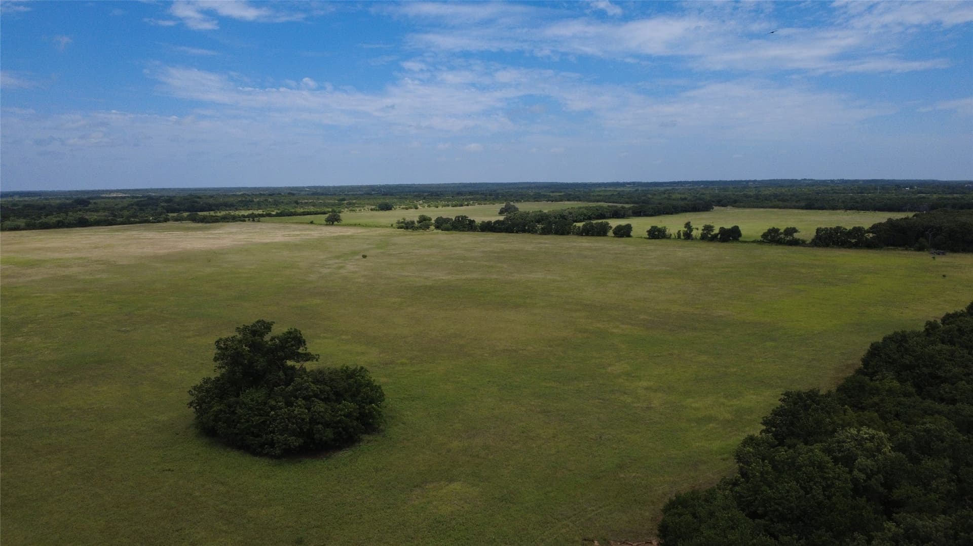 80.3 acres in Comanche County gallery image 2