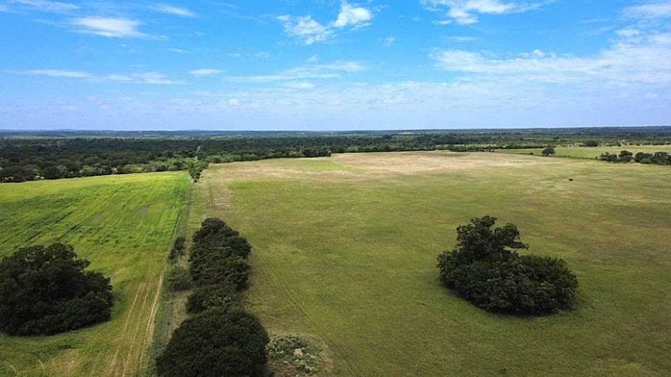 80.3 acres in Comanche County - photo 11