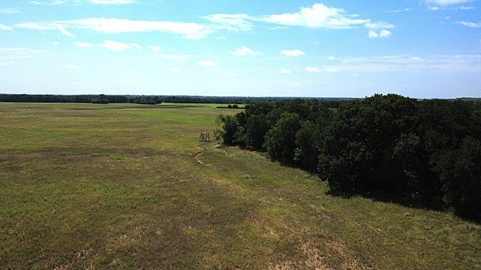 80.3 acres in Comanche County - photo 4
