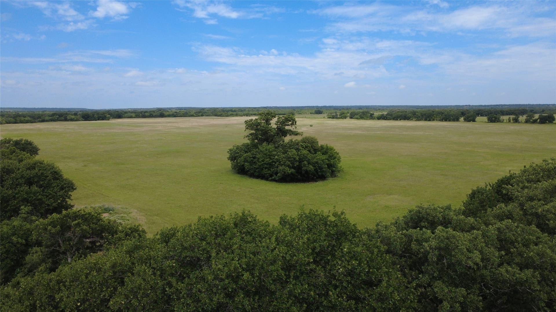 80.3 acres in Comanche County gallery image 4