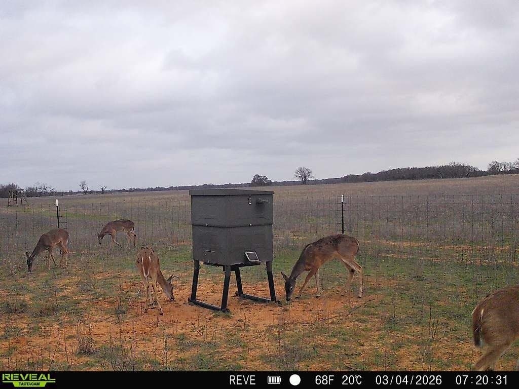 80.3 acres in Comanche County - photo 19