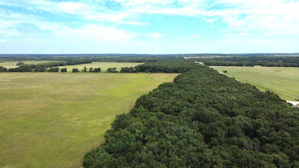 80.3 acres in Comanche County - photo 9