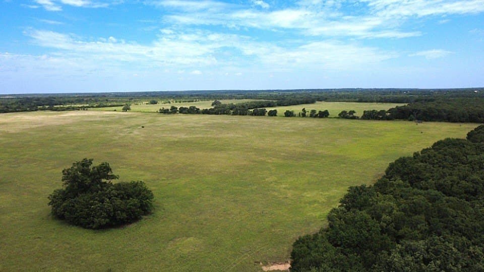 80.3 acres in Comanche County - photo 8
