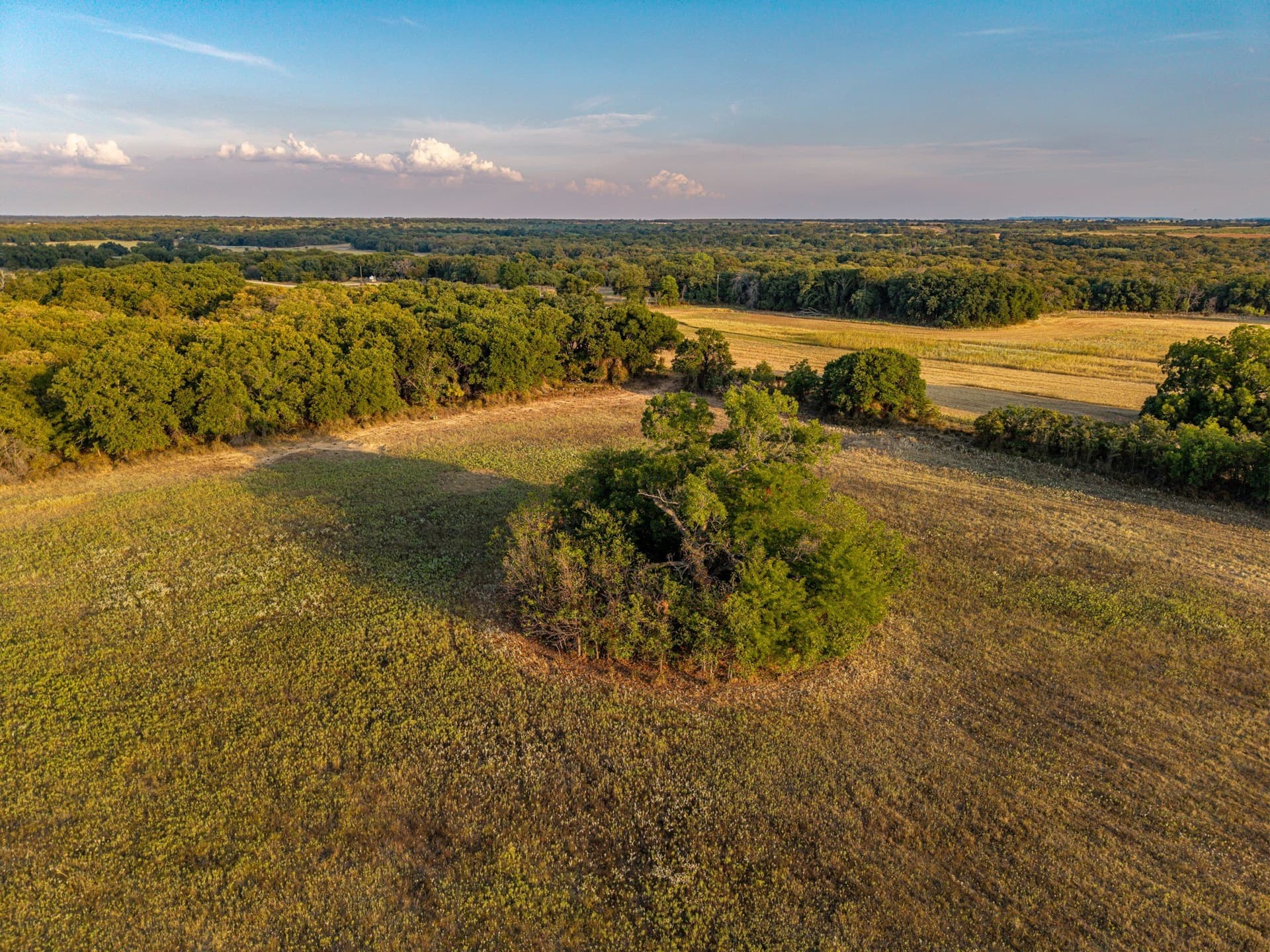 80.3 acres in Comanche County - photo 4