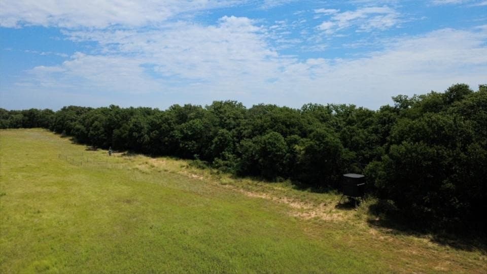 80.3 acres in Comanche County - photo 15