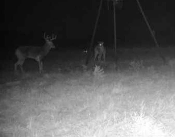 347 acres in Taylor County - photo 17