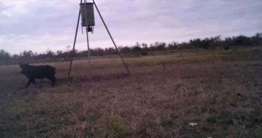 347 acres in Taylor County - photo 26