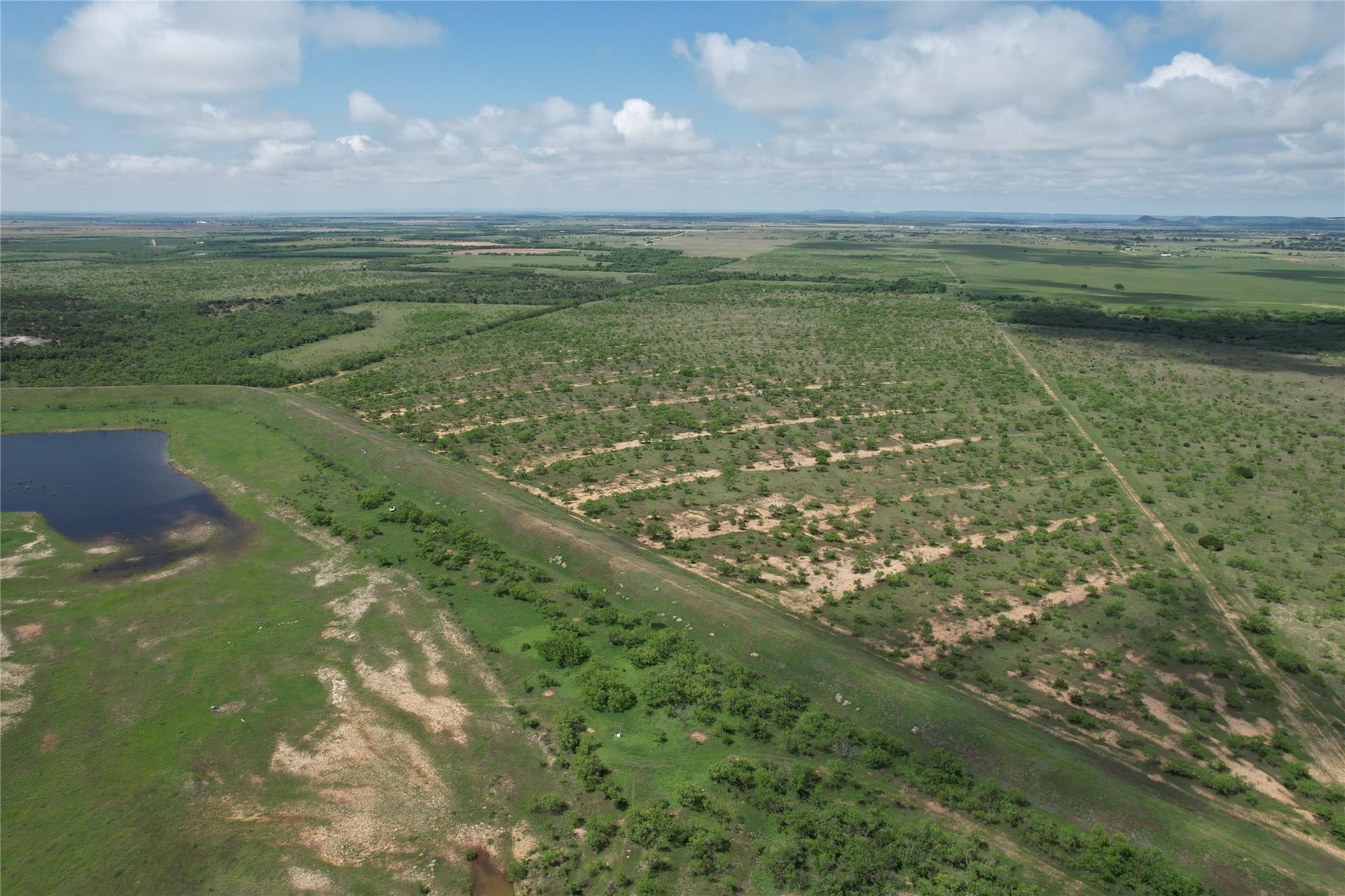 347 acres in Taylor County - photo 2