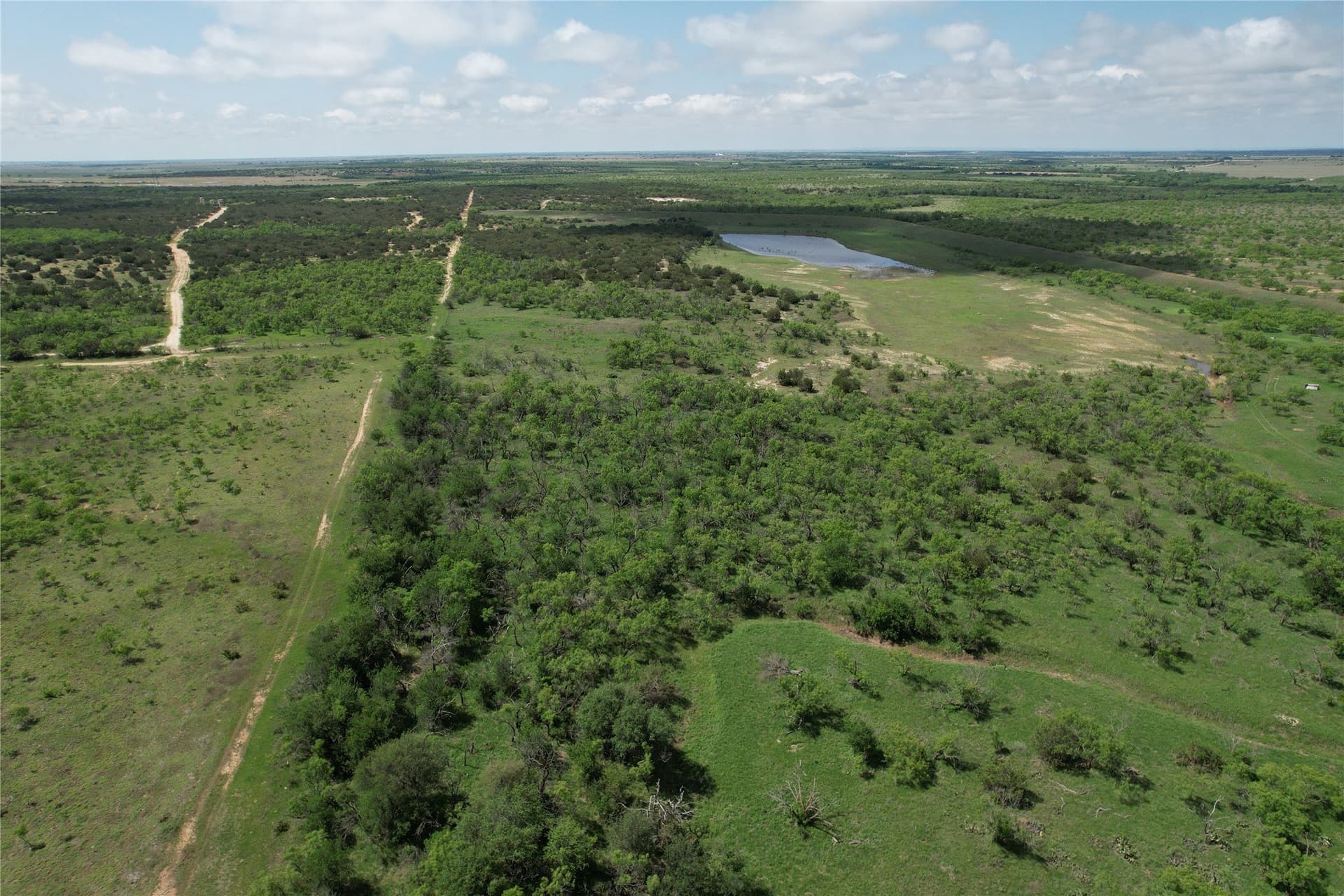 347 acres in Taylor County - photo 11