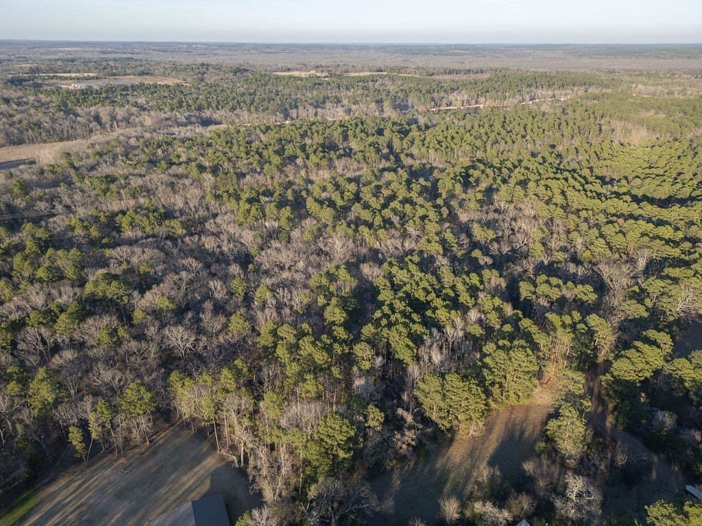 9.91 acres in Wood County - photo 11