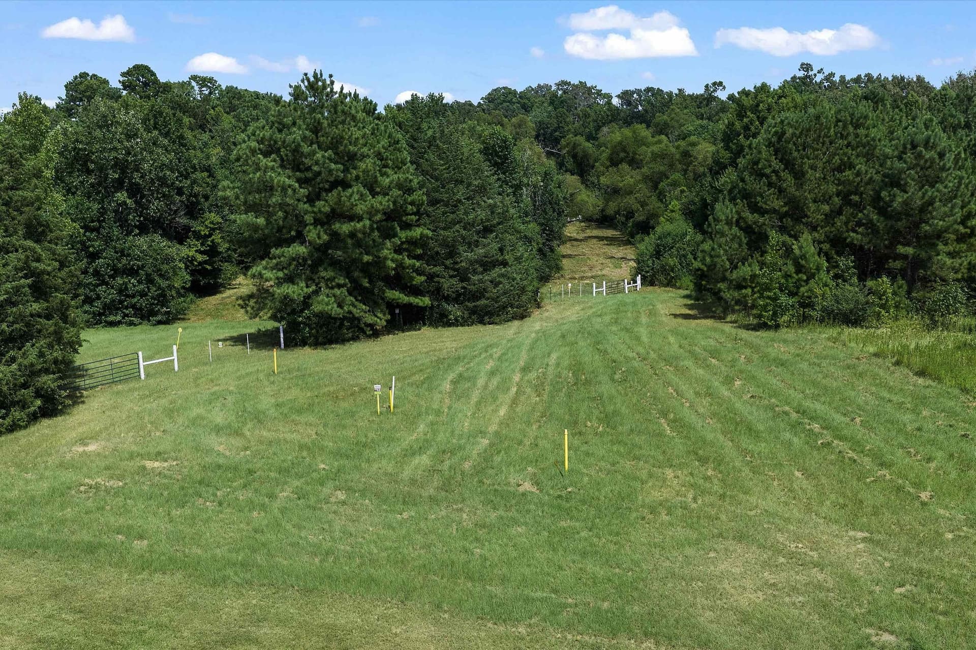 14.9 acres in Panola County featured view