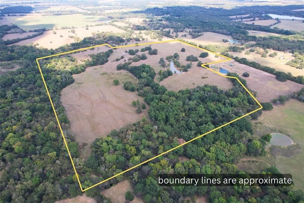 84 acres in Hopkins County featured view
