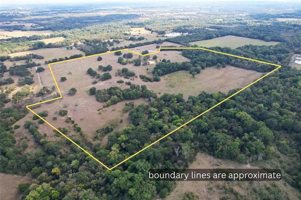 84 acres in Hopkins County gallery image 3