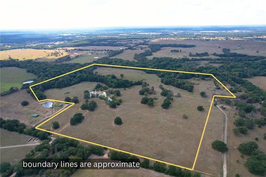 84 acres in Hopkins County gallery image 2