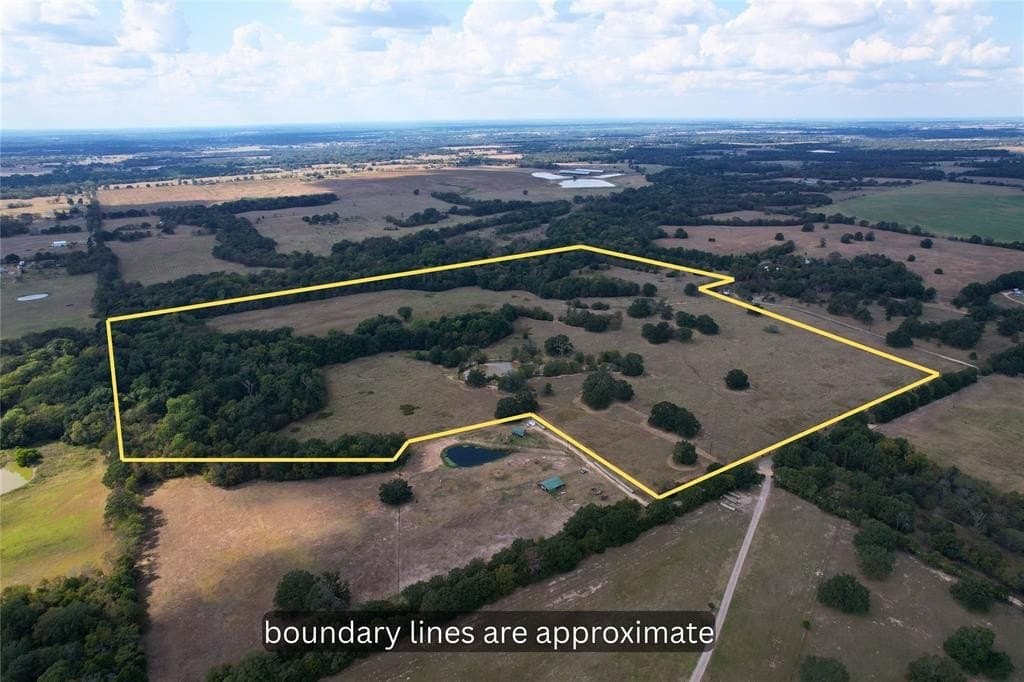 84 acres in Hopkins County gallery image 4