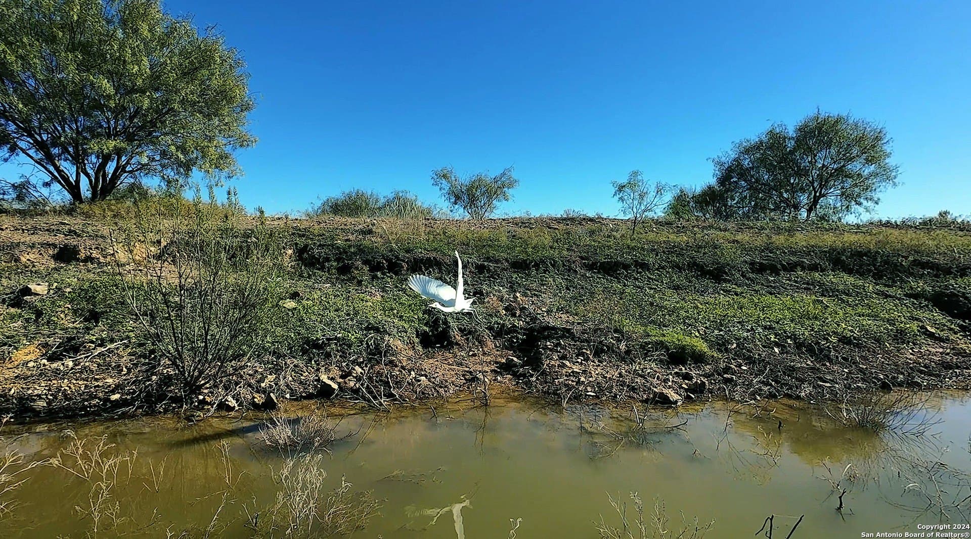 177.36 acres in Comanche County gallery image 2