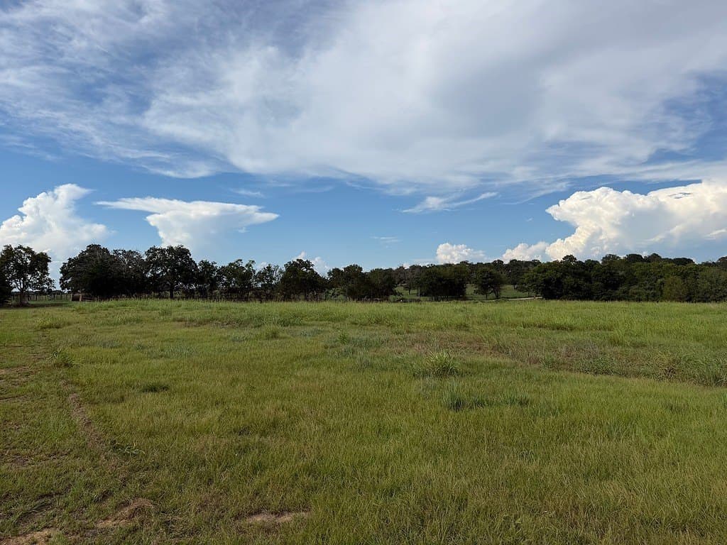 2 acres in Austin County - photo 3