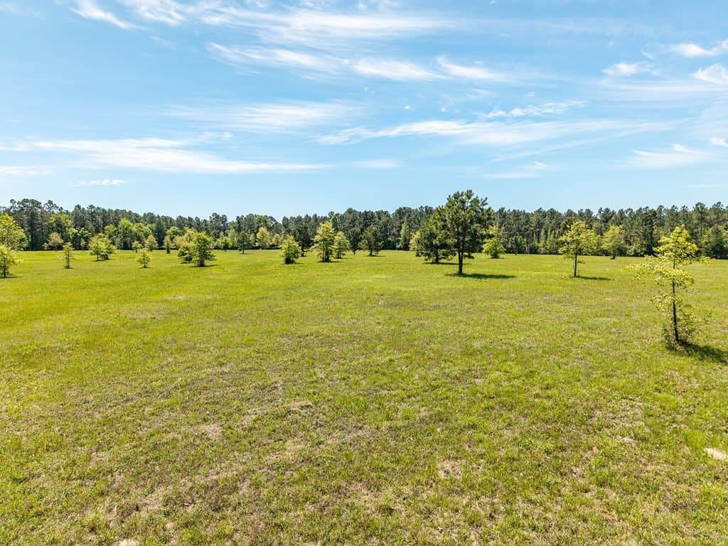 64.19 acres in Texas County featured view
