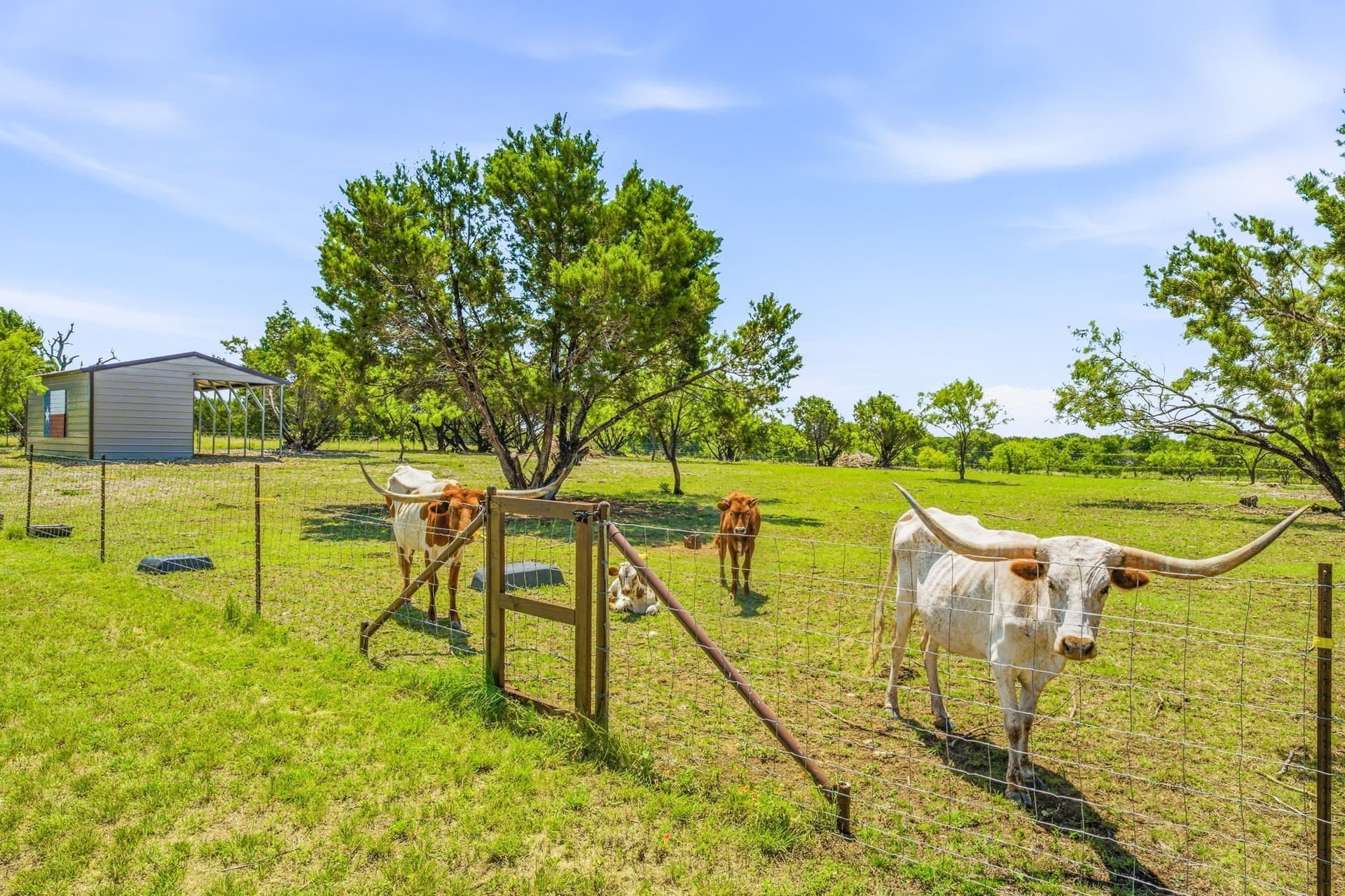 5 acres in Bosque County - photo 29