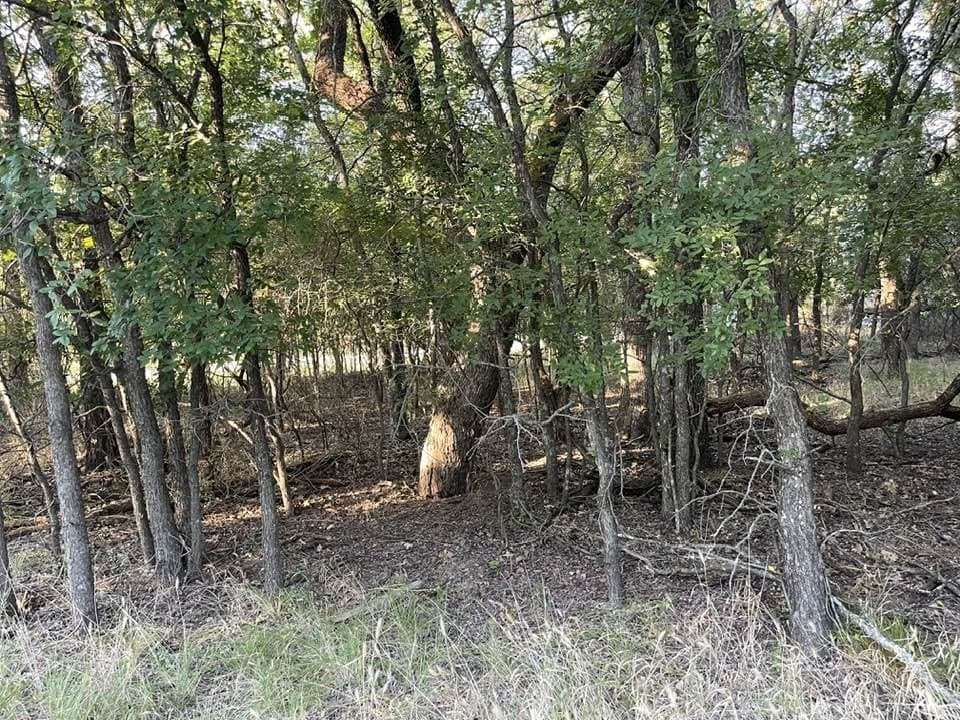 0.26 acres in Brown County - photo 9