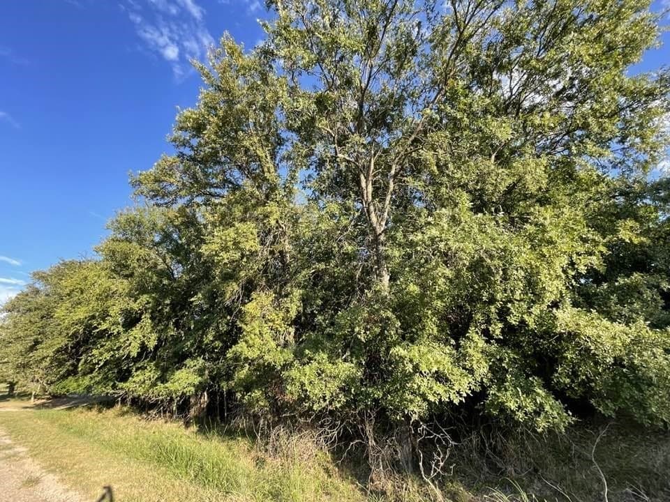 0.26 acres in Brown County - photo 3
