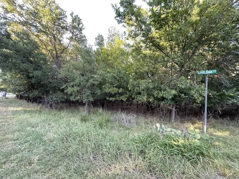 0.26 acres in Brown County - photo 13