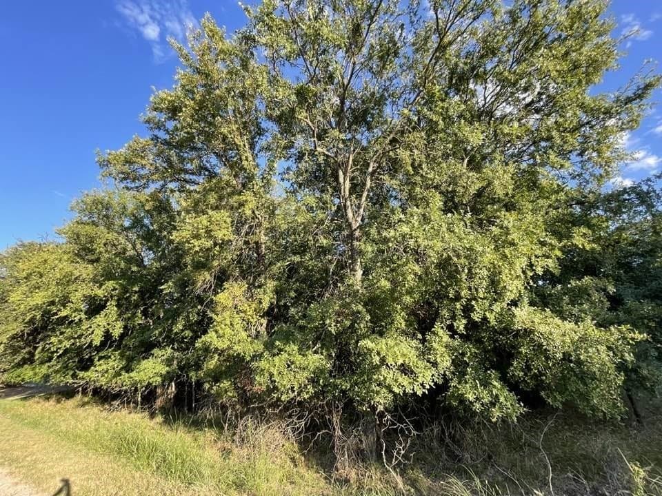 0.26 acres in Brown County - photo 5