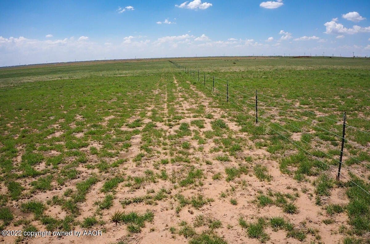 95 acres in Deaf Smith County - photo 6