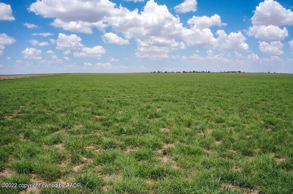 95 acres in Deaf Smith County - photo 8