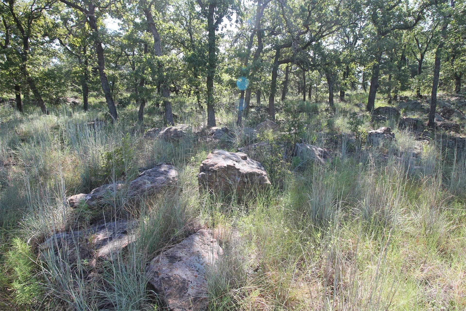1.01 acres in Wise County - photo 4