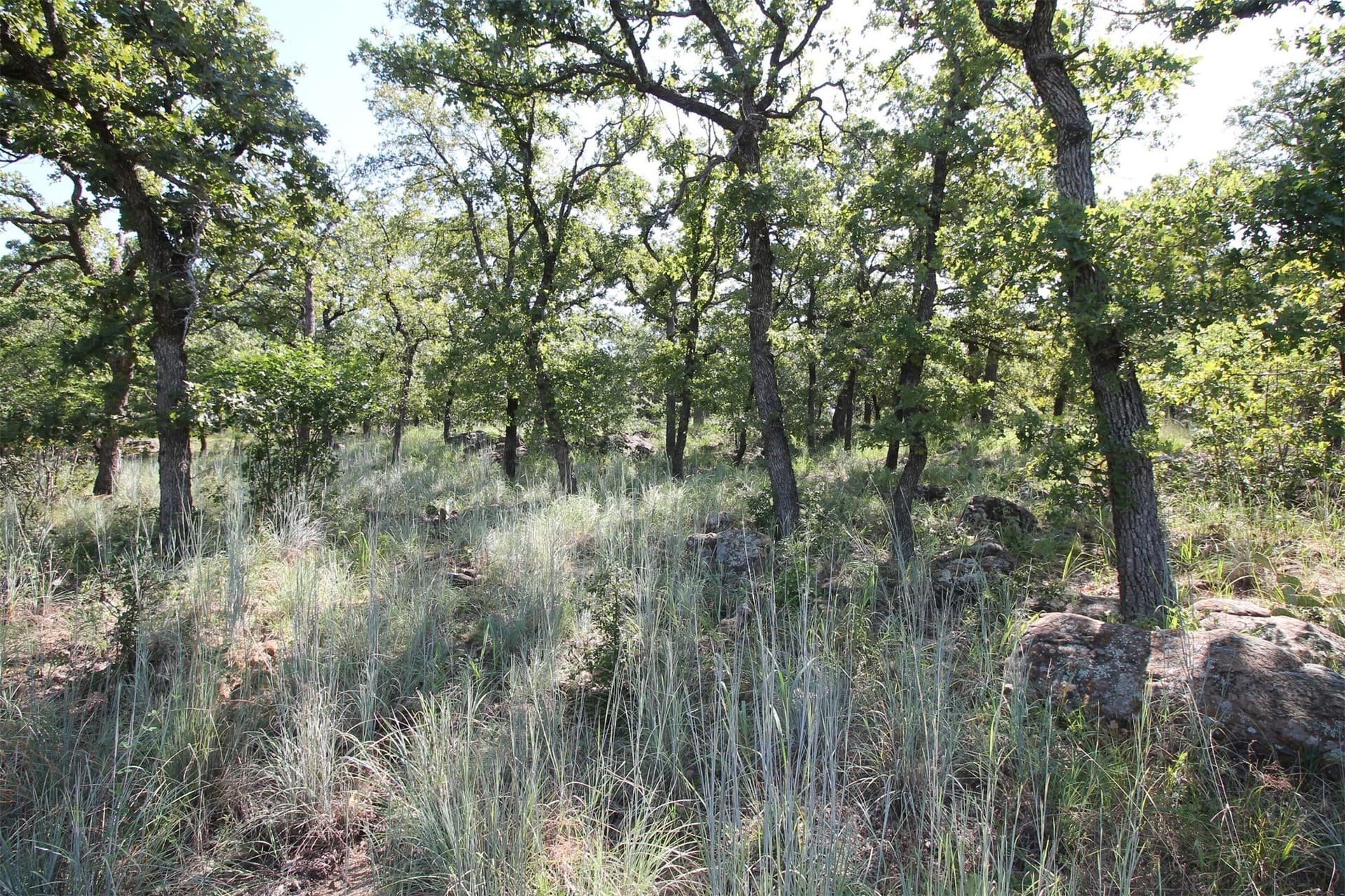1.01 acres in Wise County
